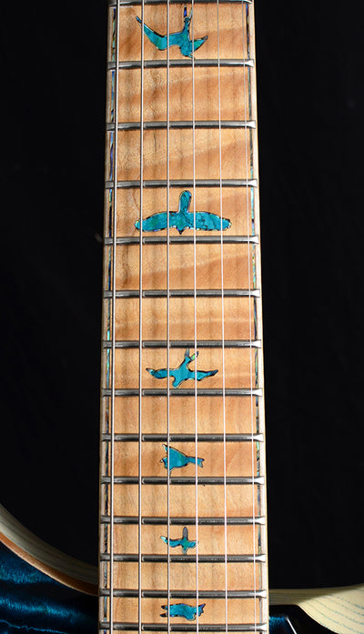 Paul Reed Smith Private Stock Modern Eagle V Sub-Zero Glow