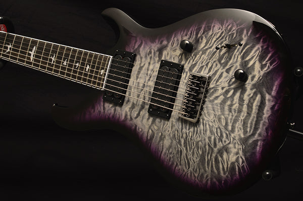 Paul Reed Smith SE Mark Holcomb SVN Holcomb Burst-Brian's Guitars