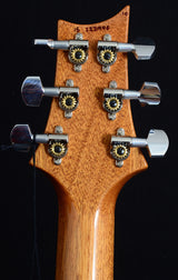 Paul Reed Smith Custom 22 Violet-Brian's Guitars