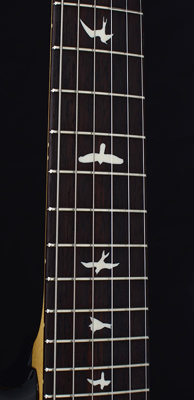 Paul Reed Smith Silver Sky John Mayer Signature Model Onyx-Brian's Guitars