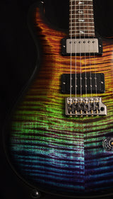 Paul Reed Smith Wood Library Artist Custom 24 Brian's Guitars 10th Anniversary Limited Zombie Fade Smokeburst