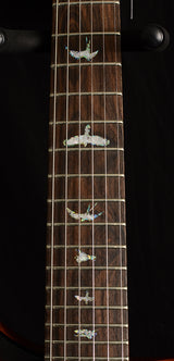 Paul Reed Smith Wood Library Artist Custom 24 Brian's Guitars 10th Anniversary Limited Zombie Fade Smokeburst