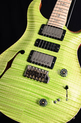 Paul Reed Smith Wood Library Special Semi-Hollow Brian's Limited Palm Green-Brian's Guitars