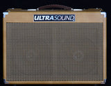 Used Ultra Sound DS3 Acoustic Amp-Amplification-Brian's Guitars