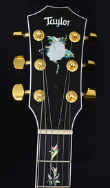 Taylor Custom T5z Koa Road Show Limited Edition-Brian's Guitars