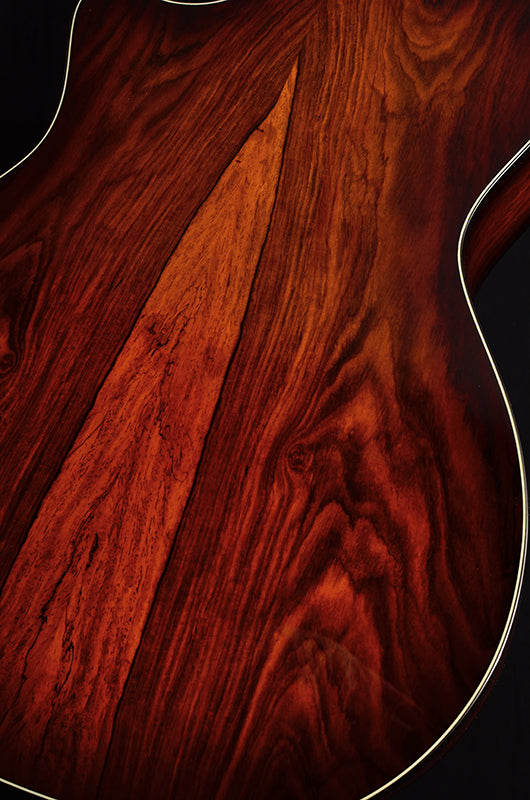 Taylor 814ce V-Class Cocobolo NAMM 2020 Limited Edition-Acoustic Guitars-Brian's Guitars