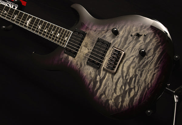 Paul Reed Smith SE Mark Holcomb