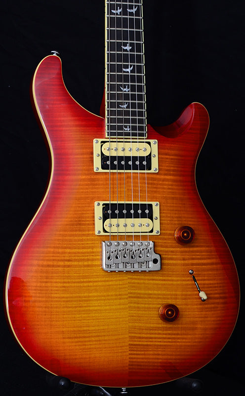 Used Paul Reed Smith SE 30th Anniversary Custom 24-Brian's Guitars