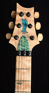 Paul Reed Smith Private Stock Floyd Custom 24 Subzero Glow Smoked Burst-Brian's Guitars