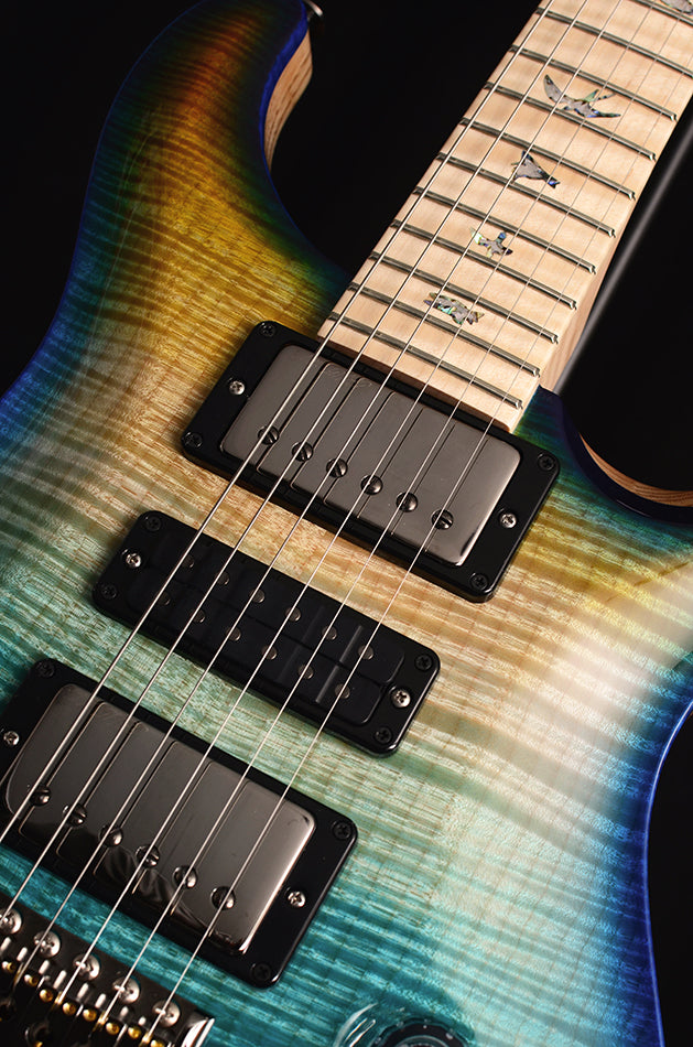 Paul Reed Smith Wood Library Artist Special Semi-Hollow Brian's Guitars 10th Anniversary Limited Beach Fade