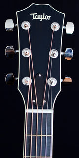 Taylor 514ce-Brian's Guitars