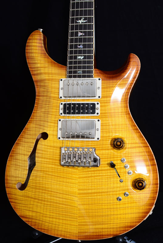 Paul Reed Smith Private Stock Super Eagle-Brian's Guitars