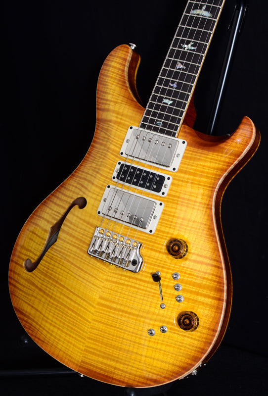 Paul Reed Smith Private Stock Super Eagle-Brian's Guitars