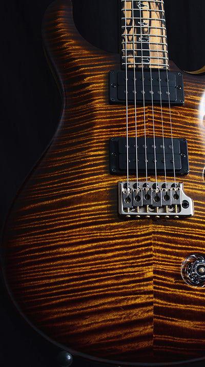 Paul Reed Smith Private Stock Custom 24-08 Pale Moon Ebony