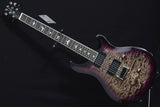 Paul Reed Smith SE Mark Holcomb-Brian's Guitars