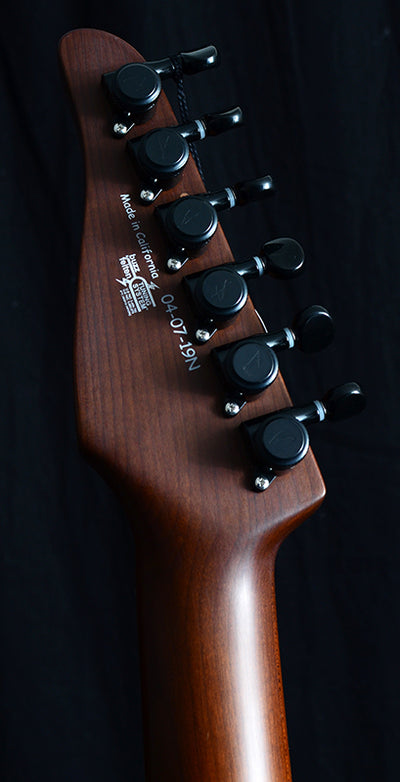 Tom Anderson Hollow T Classicローズネック TOM ANDERSON HOLLOW-T DROPTOP ROSE NECK w/PIEZO タマ少ない