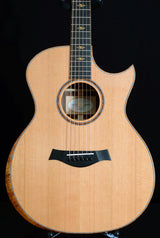 Taylor Custom GA Indian Rosewood-Brian's Guitars
