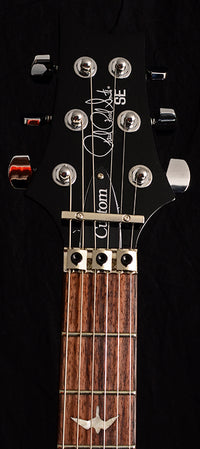 PRS SE Floyd Custom 24 グレーブラック ハードケース付き P.R.S. Custom24 Floyd 10top (Gray Black) #0370217【2023年
