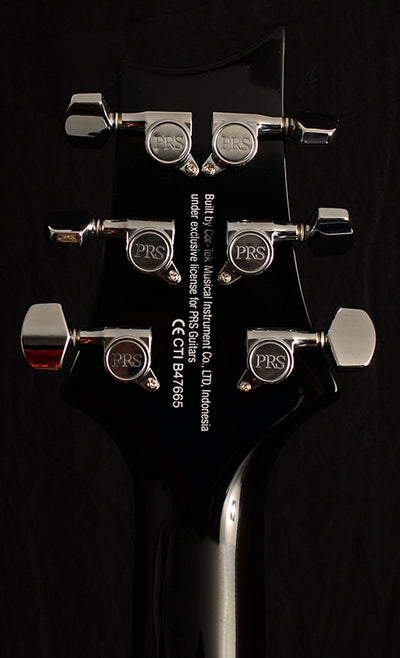 PRS SE Custom 24 Floyd Gray Black | PRS Electric Guitars