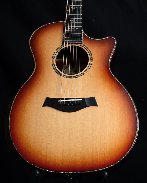 Used Taylor 914ce LTD Cocobolo-Acoustic Guitars-Brian's Guitars