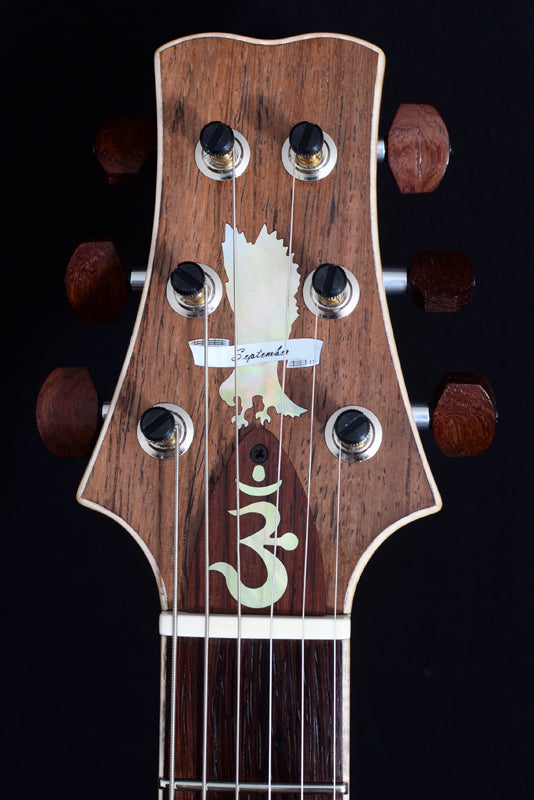 Paul Reed Smith Private Stock 24 Fret McCarty Singlecut Trem Guitar Of The Month-Brian's Guitars