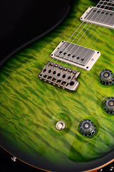 Paul Reed Smith Wood Library DGT Brian's Limited Eriza Verde-Brian's Guitars