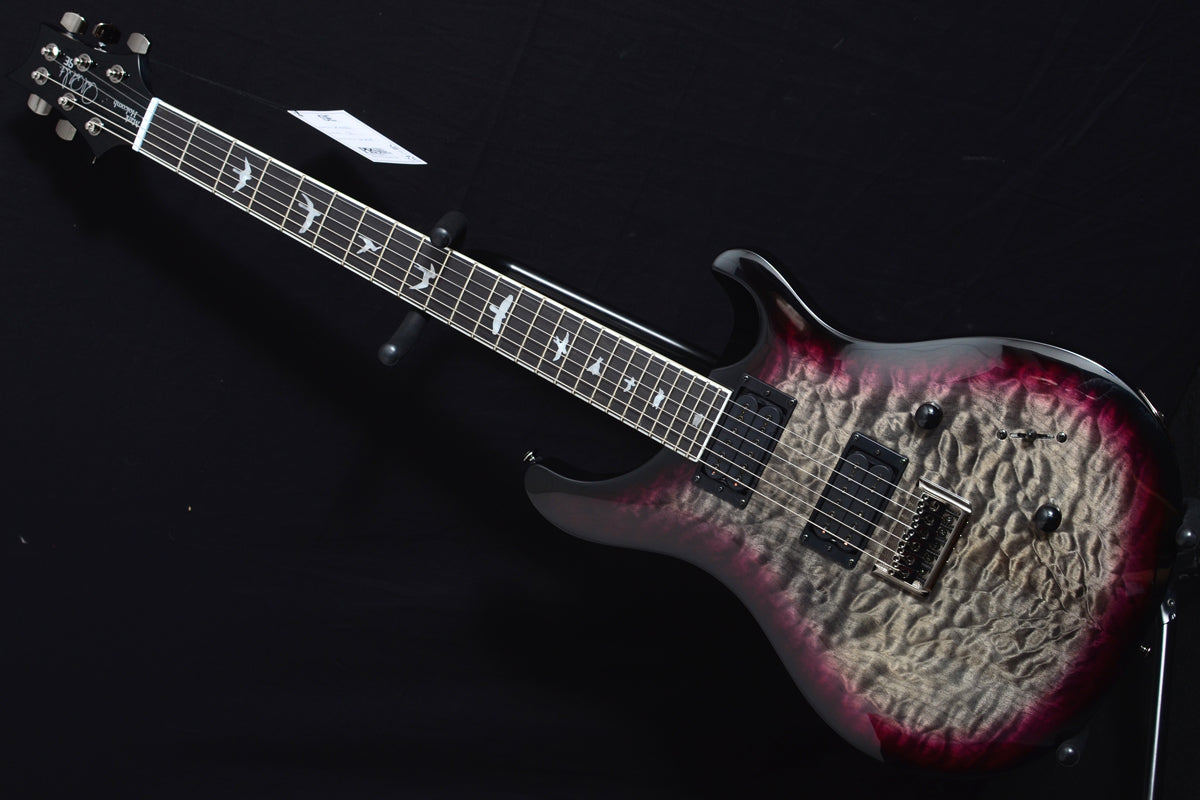Paul Reed Smith SE Mark Holcomb
