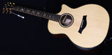 Taylor 914ce V-Class-Brian's Guitars