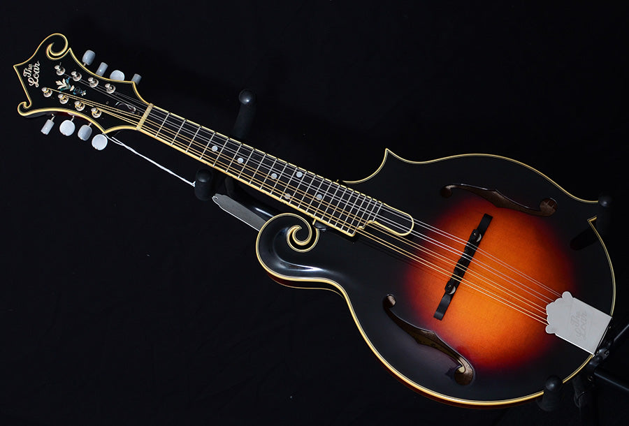 USED THE LOAR LM-500-VS