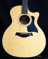 Taylor 316ce-Acoustic Guitars-Brian's Guitars