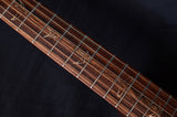 Used Paul Reed Smith Private Stock Angelus Madagascar Rosewood-Brian's Guitars