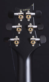 Paul Reed Smith Mark Holcomb Custom 24 Limited Jade-Brian's Guitars
