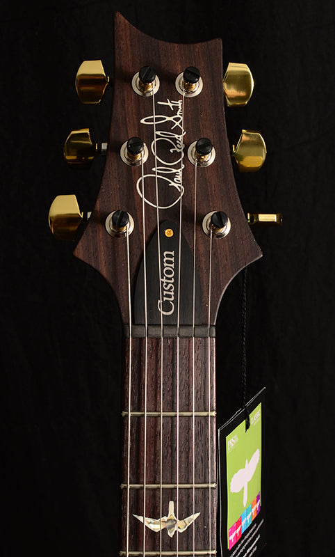 Paul Reed Smith Custom 22 Piezo Faded Jade Green Burst-Electric Guitars-Brian's Guitars