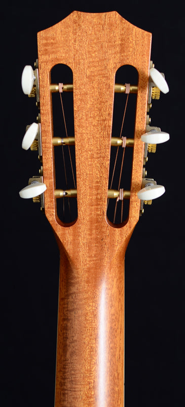 Taylor 812ce 12-Fret-Brian's Guitars