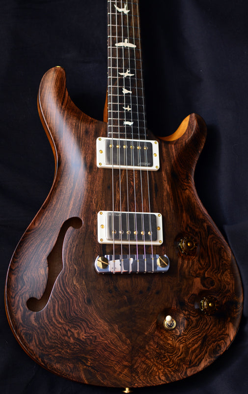 Paul Reed Smith Private Stock Custom 22 Semi Hollow Brazilian Rosewood Top-Brian's Guitars