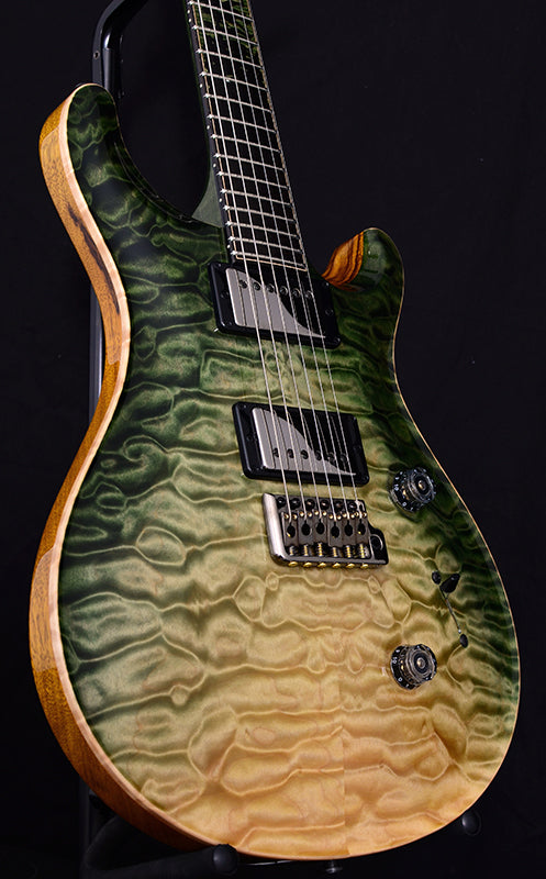 Paul Reed Smith Private Stock Custom 24 Walking Zombie #6-Brian's Guitars