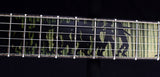 Paul Reed Smith Private Stock Custom 24 Walking Zombie #6-Brian's Guitars