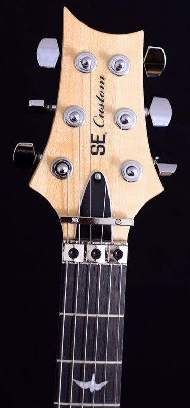 Paul Reed Smith 30th Anniversary SE Floyd Custom 24 Limited-Brian's Guitars