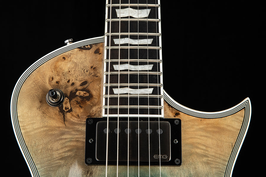 その他 TAR PIT 2021 by BarryMcGee ED1000 Heid Music | ESP E-II Eclipse Burled Maple Electric Guitar