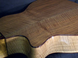 Taylor Builders Reserve BR VIII Walnut GS Guitar and Amplifier Combo-Brian's Guitars