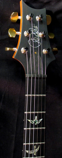 Paul Reed Smith Artist Package Custom 22 Blue Green Fade