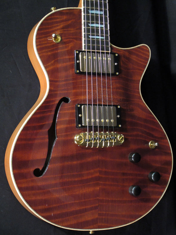 Used DGN Paragon Red Semi-Hollow-Brian's Guitars