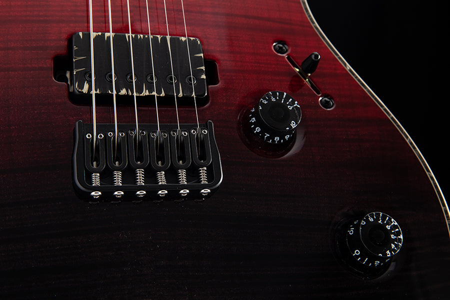 ギター Mayones Regius6 REG6-TJNSBKM BareKnuckle Mayones Guitars Basses - Mayones Regius 6 Custom Shop