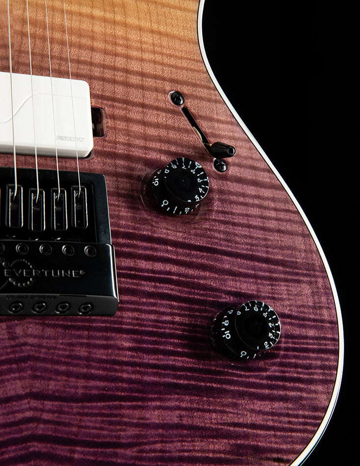 Mayones Regius 4Ever 6 Natural Purple Horizon