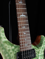 Paul Reed Smith Wood Library Modern Eagle V Palm Green Brian's Guitars Limited