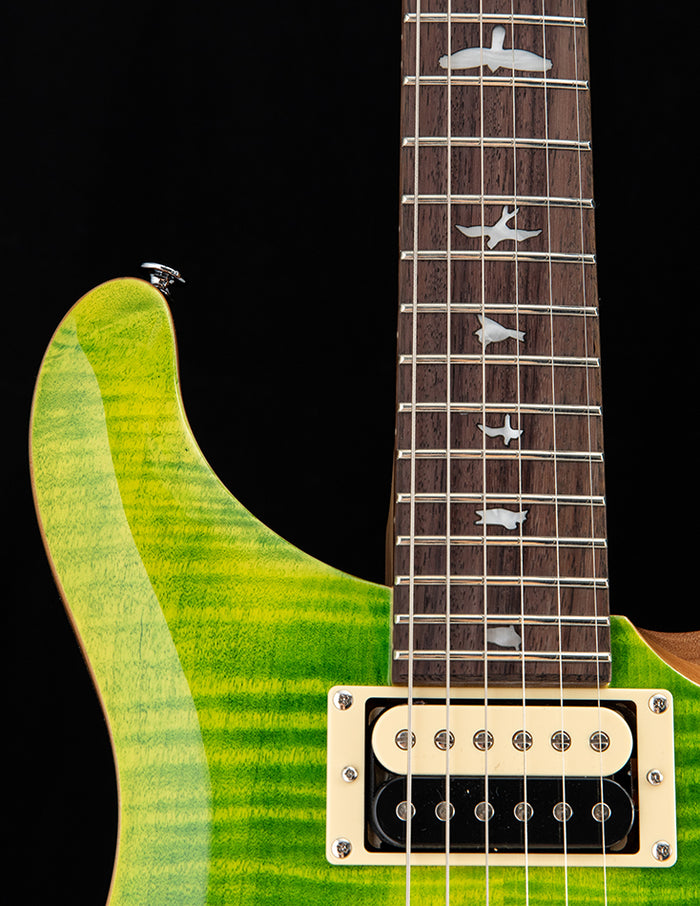 Paul Reed Smith SE Custom 24-08 Eriza Verde