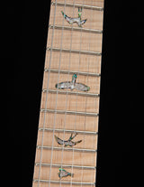 Paul Reed Smith Wood Library Custom 24 Floyd Platinum Smokeburst Brian's Guitars Limited