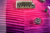 Paul Reed Smith Private Stock Custom 24 Orianthi Limited Edition Blooming Lotus Glow