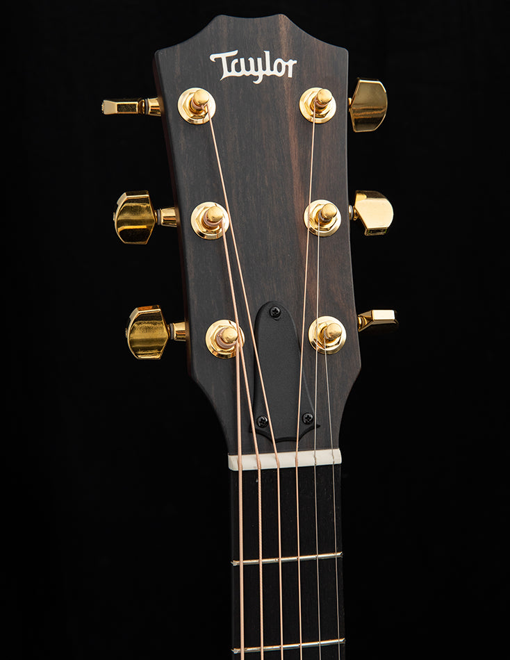 Taylor 224ce Deluxe Limited Urban Ash