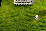 Paul Reed Smith CE 24 Semi-Hollow Eriza Verde